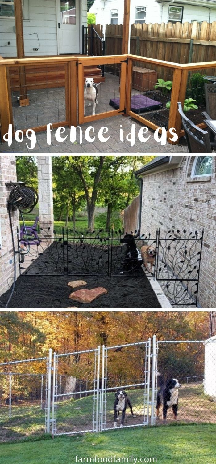 Creative backyard dog fence ideas