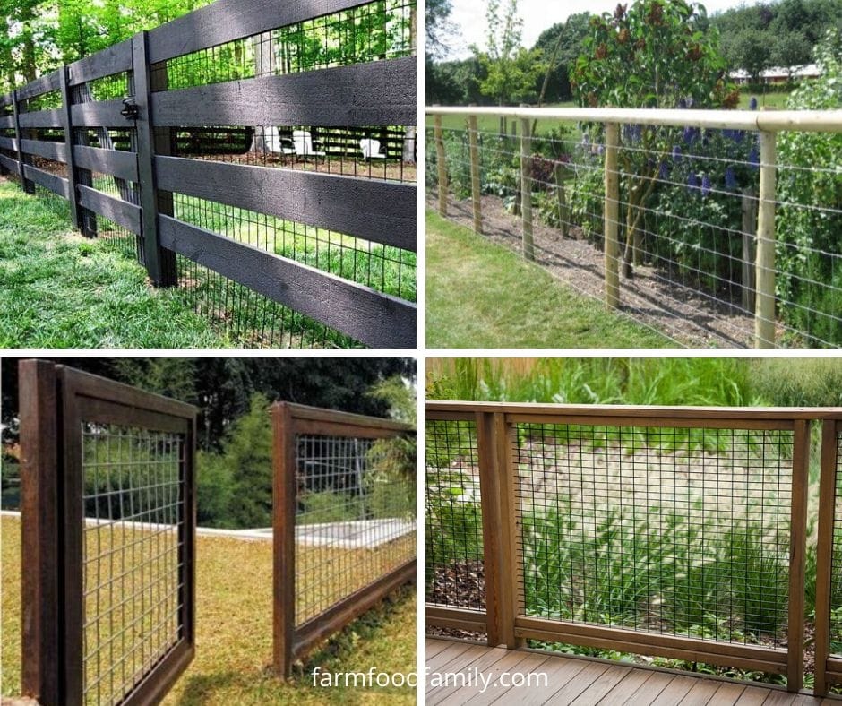 Hog wire fence ideas