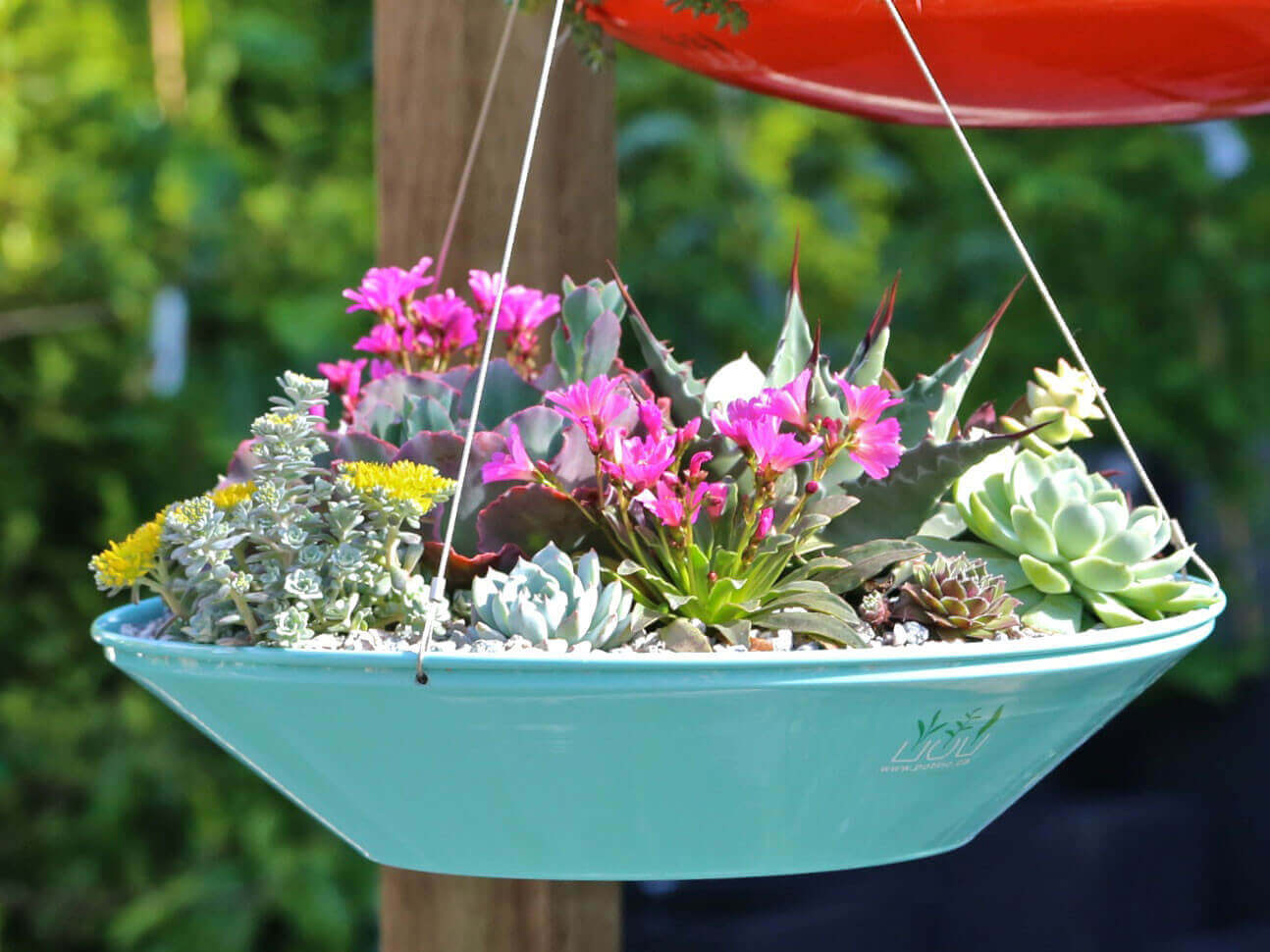 Saucer Style Succulent Hanging Planter | DIY Outdoor Hanging Planter Ideas | Plant Pot Design Ideas