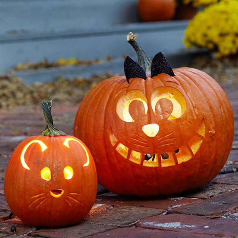 DIY Pumpkin Carving Ideas: Cute And Cuddly Faces