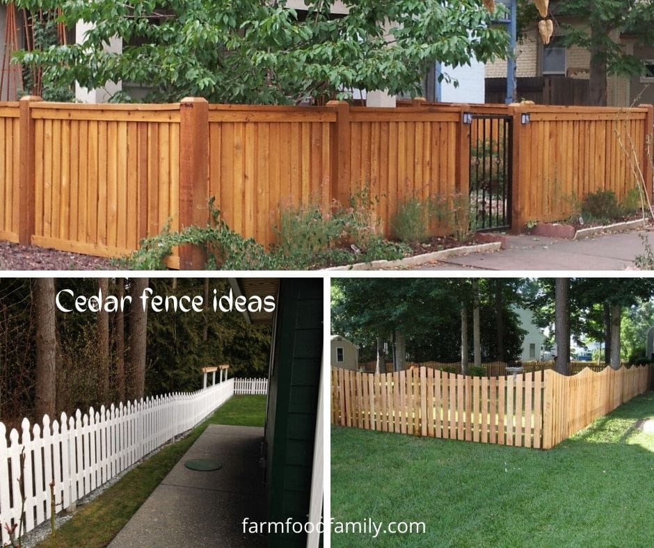Cheap cedar fence ideas and designs