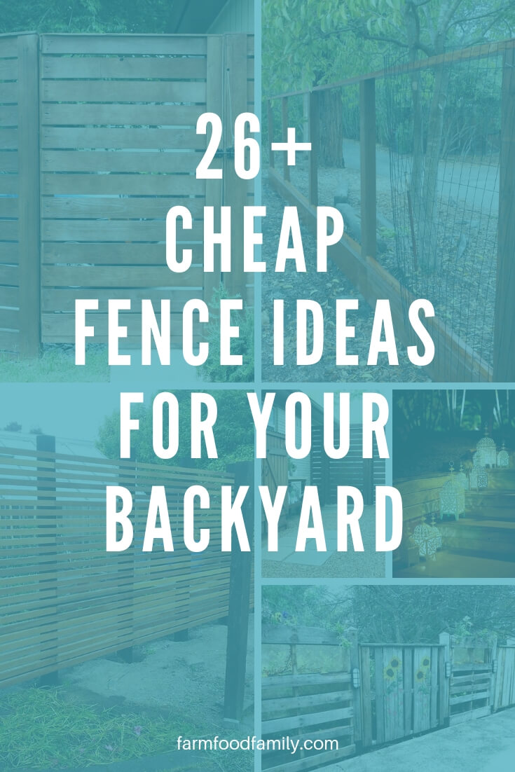 26+ Cheap DIY Fence Ideas for Your Backyard