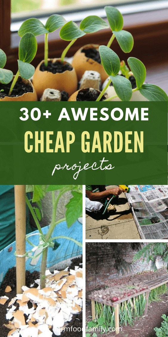 cheap garden ideas 4