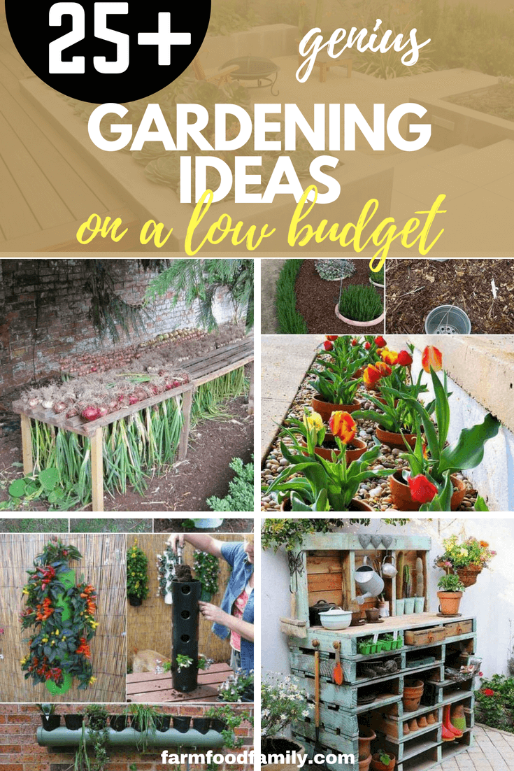 21+ Low Budget Gardening Ideas