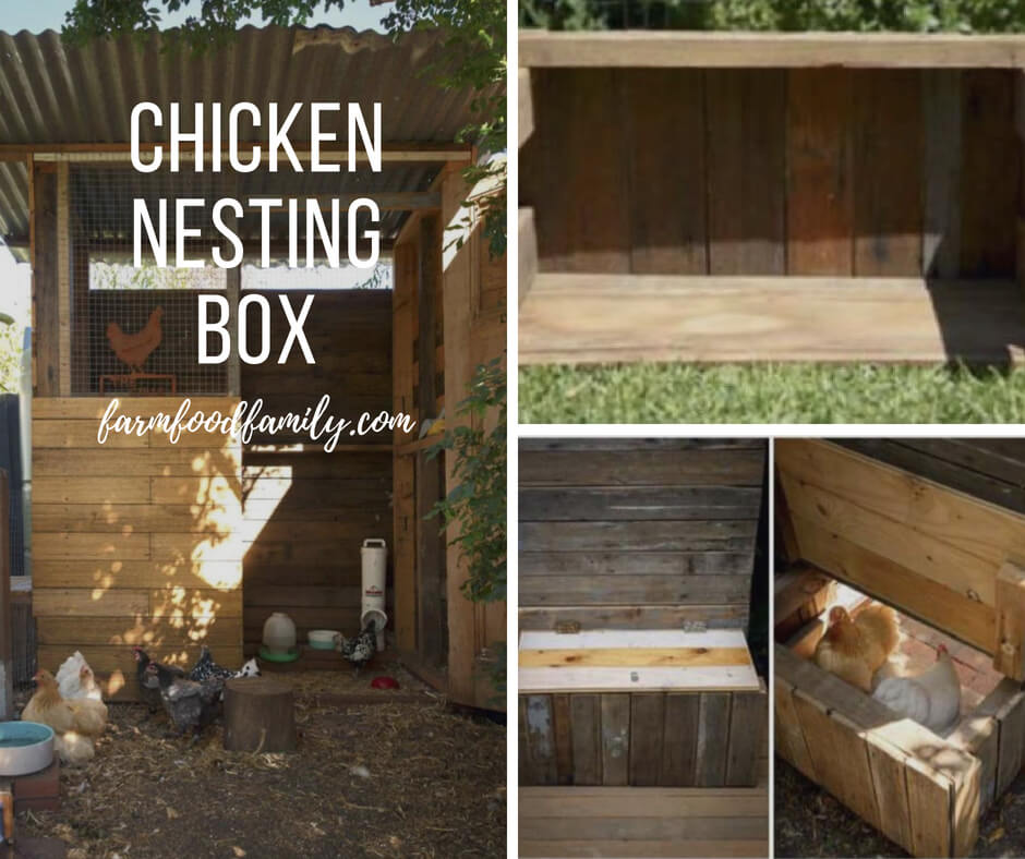Chicken nesting boxes designs