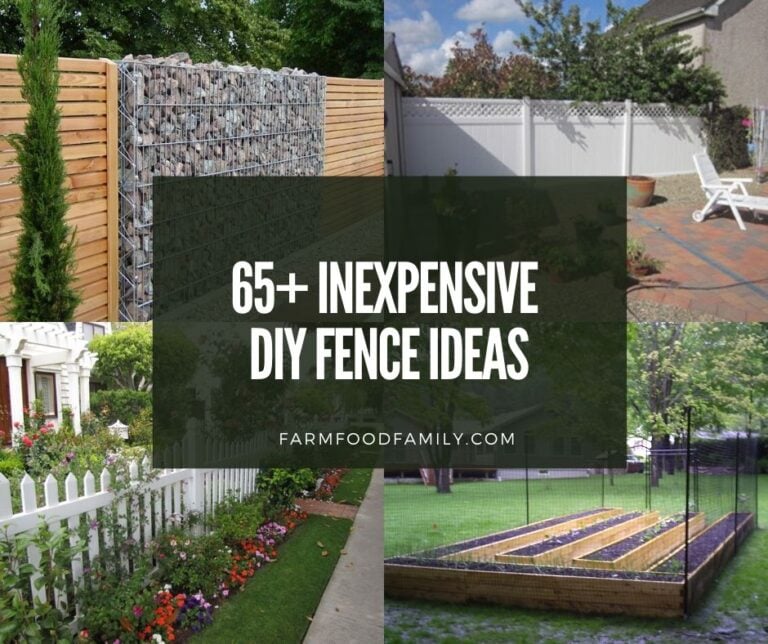 95+ Simple and Inexpensive DIY Fence Ideas For Your Backyard, or Privacy