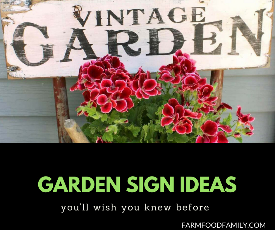 37+ Funny DIY Garden Sign Ideas