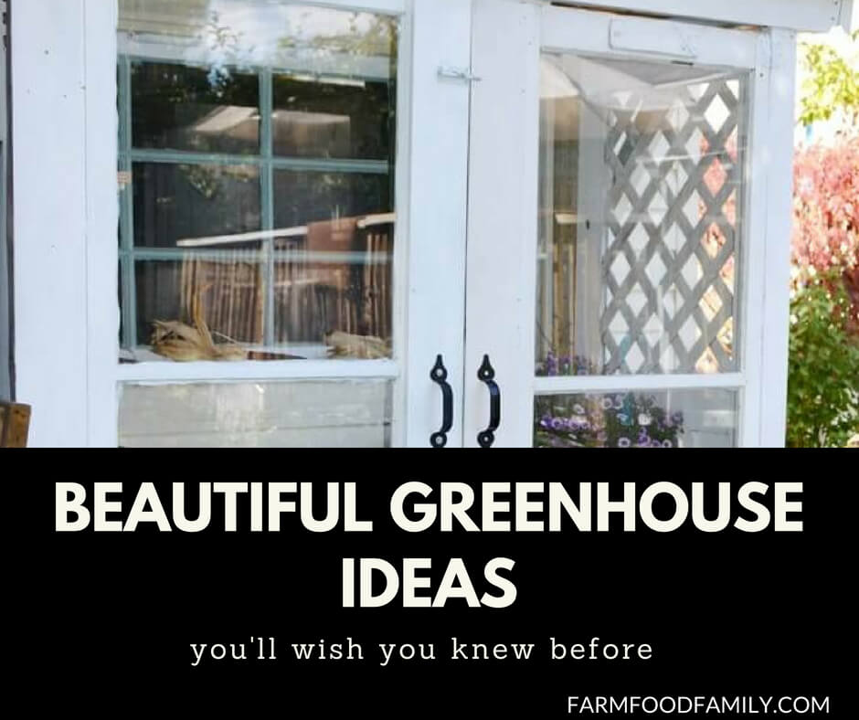 30+ Awesome DIY Greenhouse Designs & Ideas
