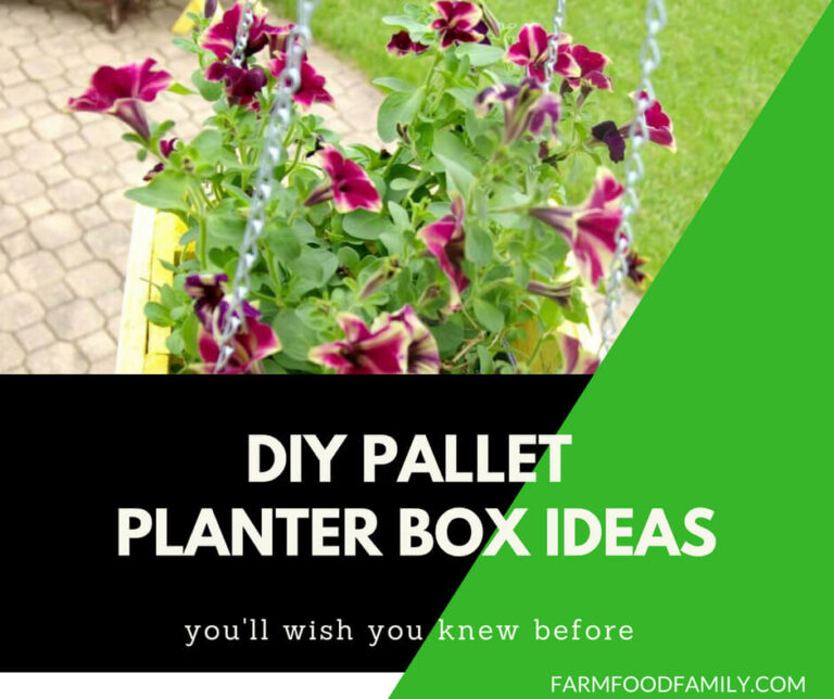 35 DIY Pallet and Wood Planter Box Ideas For Your Garden