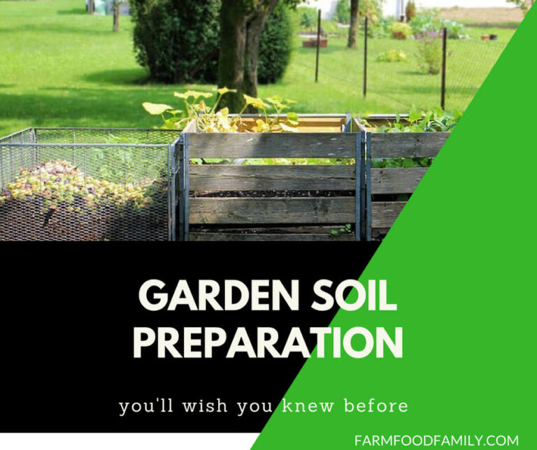 Garden Soil Preparation: How to prepare for planting