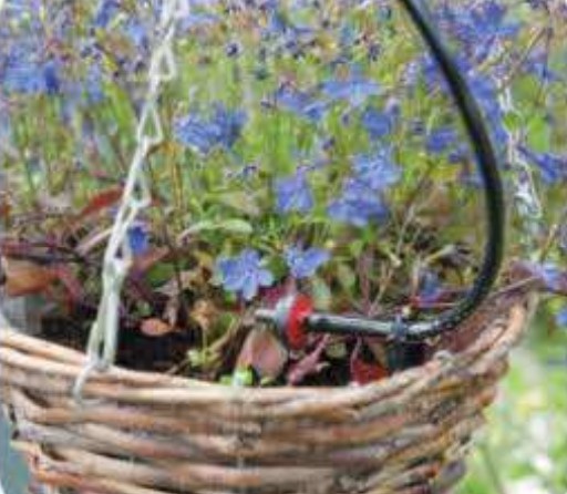 Hanging Baskets Watering
