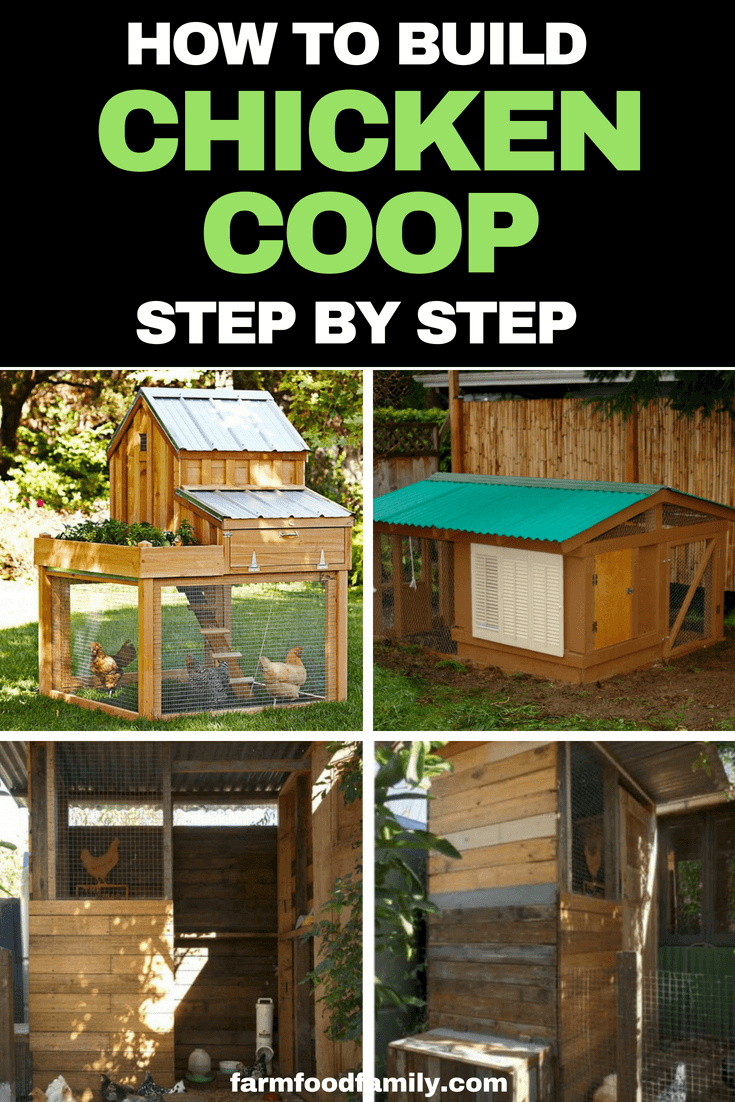 How to build a backyard chicken coop or henhouse step by step