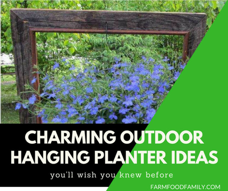 DIY Outdoor Hanging Planter Design Ideas | DIY Hanging Planter Box