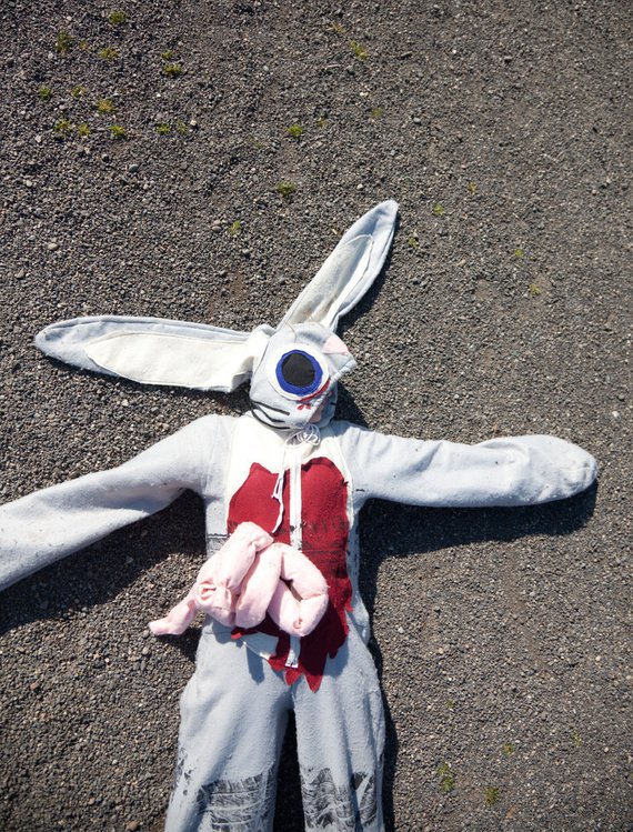Roadkill Bunny Rabbit Halloween Costume Adult or Child | Animal Halloween Costumes for Kids, Adults - FarmFoodFamily.com