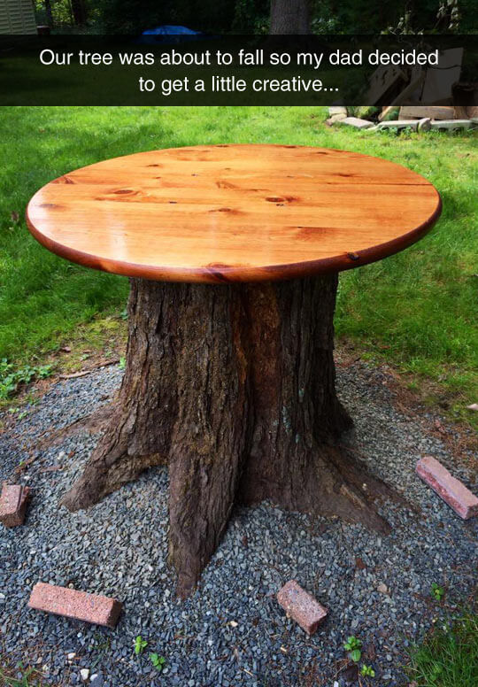 Very impressive dad - Tree Stump Outdoor Table | Tree Stump Decorating Ideas | How To Decorate a Tree Stump In Landscape