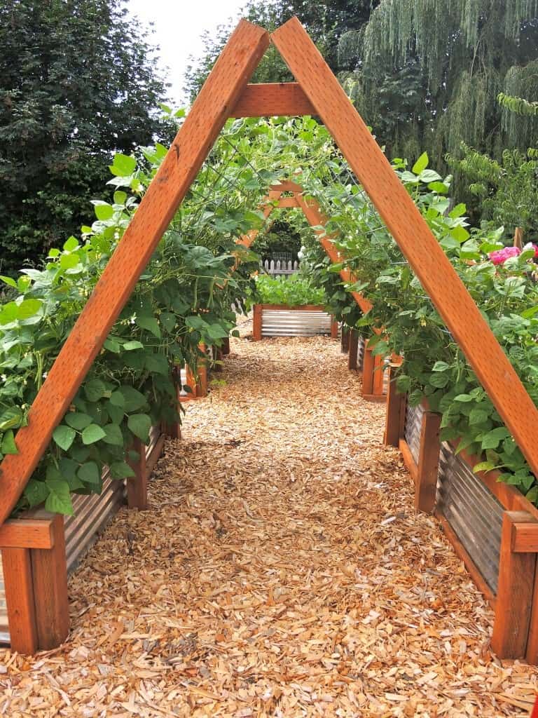 Vertical Garden Edging | Edging Plants for Kitchen Gardens - FarmFoodFamily.com