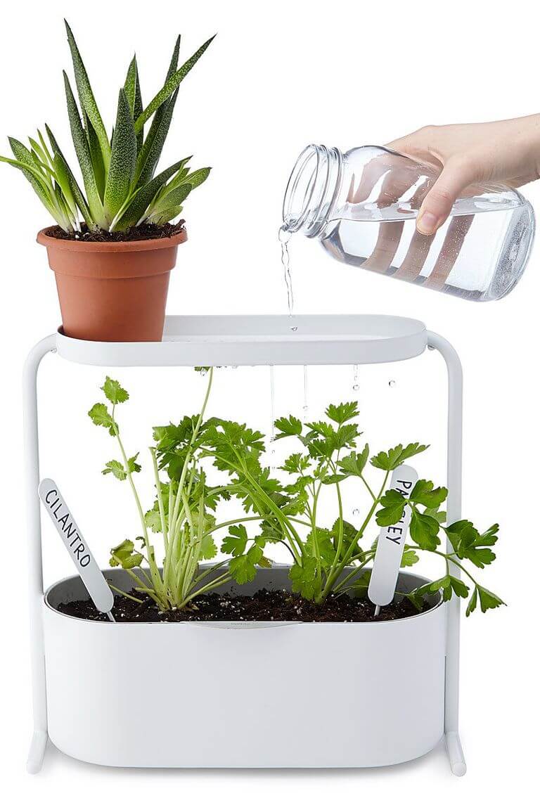 Windowsill Garden Planter | Smart Mini Indoor Garden Ideas DIY - FarmFoodFamily.com