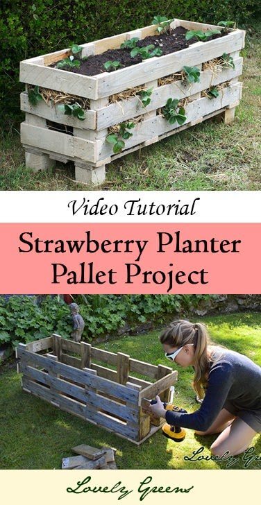 Strawberry Planter Pallet