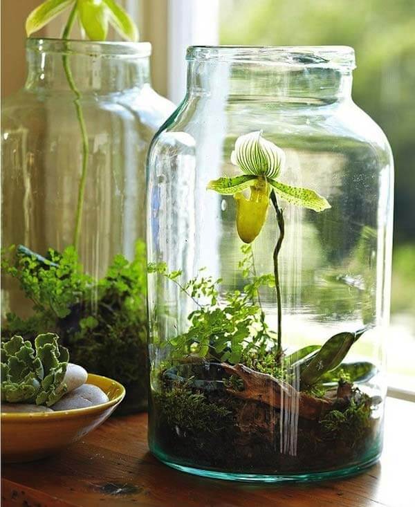 Mason Jar Herb | Smart Mini Indoor Garden Ideas DIY - FarmFoodFamily.com