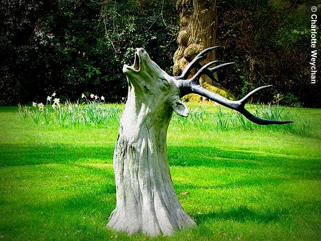 Tree Stump Garden Decor and Sculpture | Tree Stump Decorating Ideas | How To Decorate a Tree Stump In Landscape