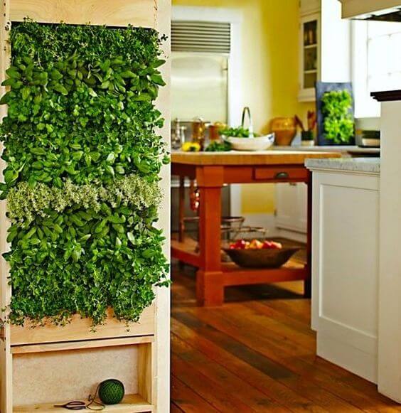 Green Wall | Smart Mini Indoor Garden Ideas DIY - FarmFoodFamily.com