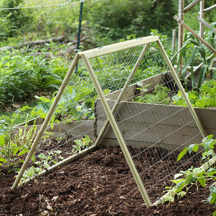 DIY garden trellis | Up-cycled Trellis Ideas For Garden