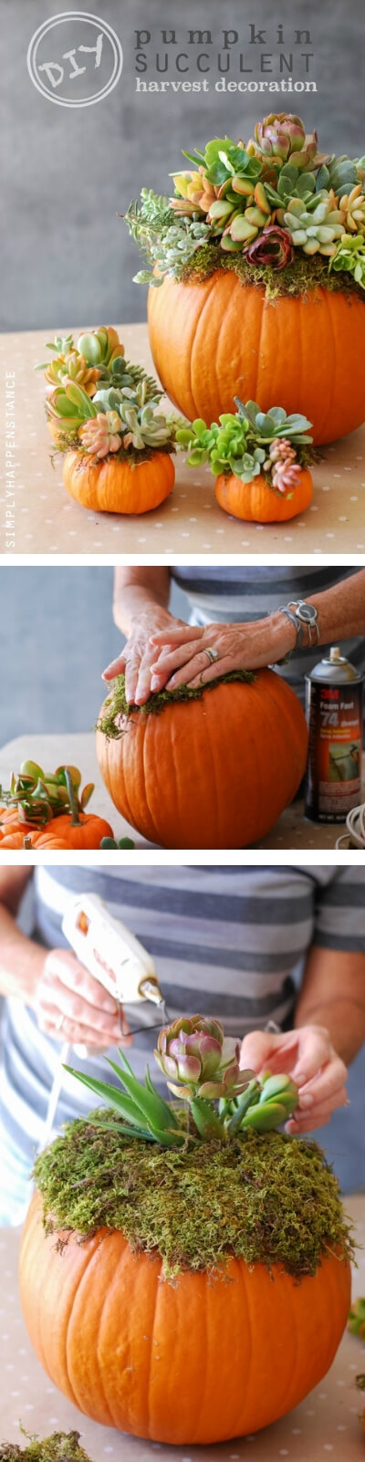 Pumpkin Succulent Harvest | Best DIY Fall Centerpiece Ideas | FarmFoodFamily.com