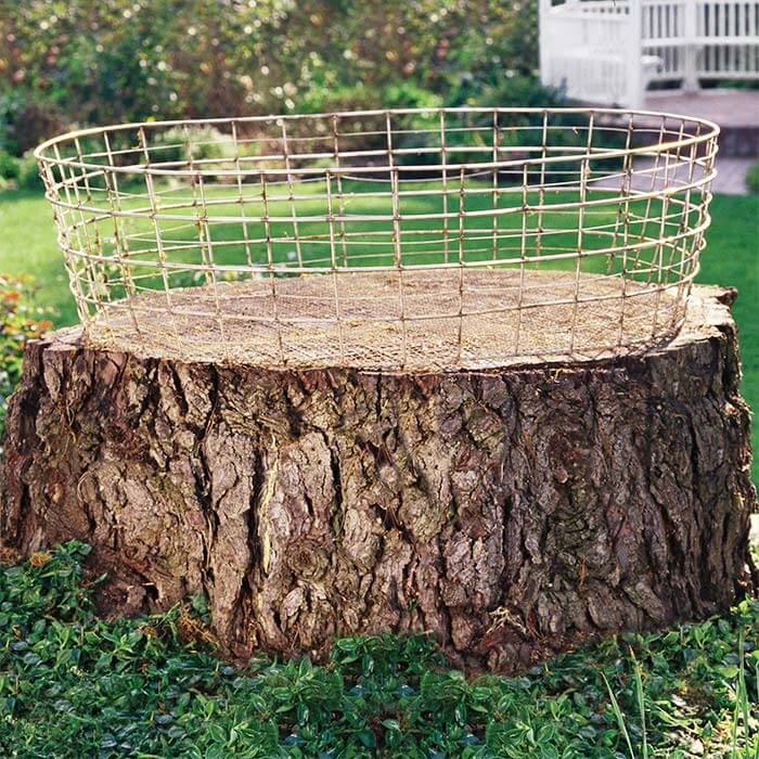 A Container Garden On A Tree Stump | Tree Stump Decorating Ideas | How To Decorate a Tree Stump In Landscape