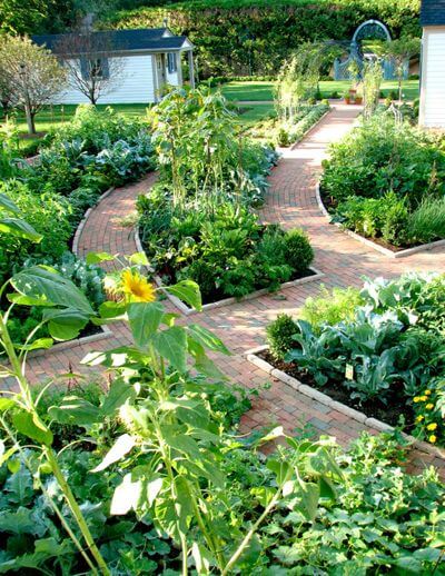 Raised Beds Lift the Garden | Edging Plants for Kitchen Gardens - FarmFoodFamily.com