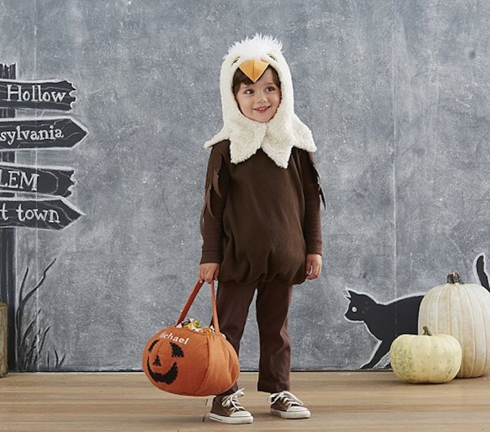 Toddler Eagle | Animal Halloween Costumes for Kids, Adults - FarmFoodFamily.com