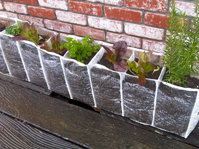 Repurposing A Shoe Hanger Into A Children's Herb Garden | Low-Budget DIY Garden Pots and Containers