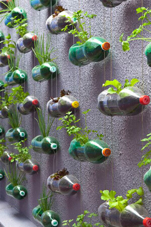 DIY Vertical Gardening | Creative Plastic Bottle Vertical Garden Ideas - FarmFoodFamily.com