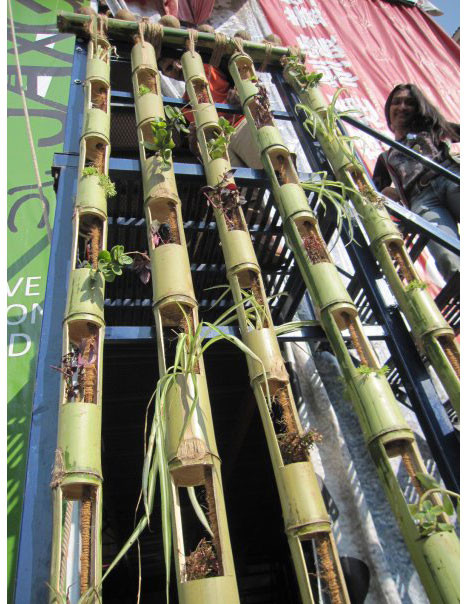 Bamboo Grow Wall | Stunning Bamboo Craft Projects | FarmFoodFamily.com