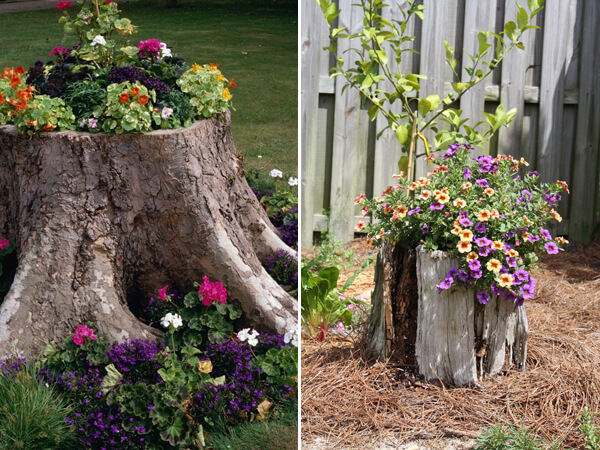 Turning Old Tree Stumps Into Garden Decorations | Low-Budget DIY Garden Pots and Containers