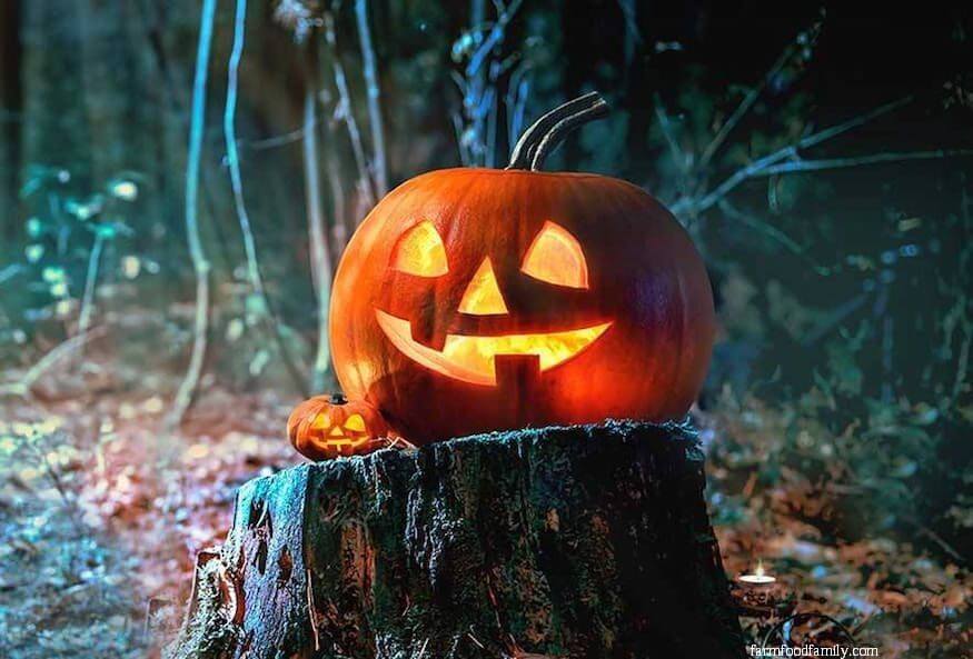 19 halloween tree stump ideas