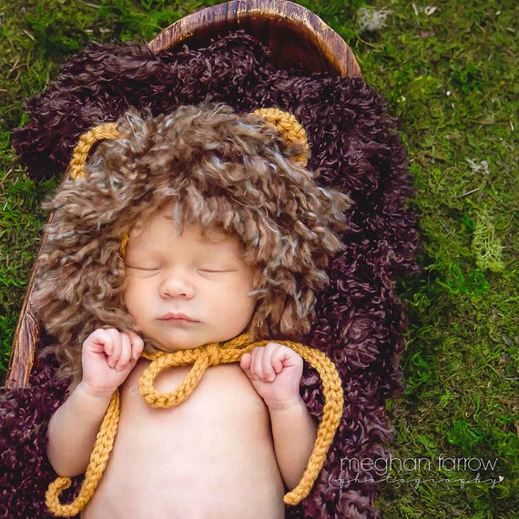 Baby Lion Costume | Animal Halloween Costumes for Kids, Adults - FarmFoodFamily.com