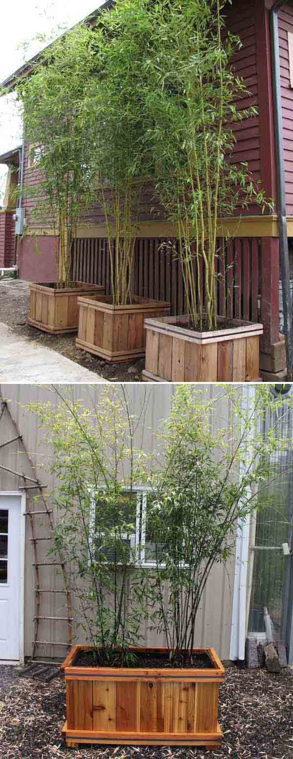 Bamboo Cedar Planters | Stunning Bamboo Craft Projects | FarmFoodFamily.com