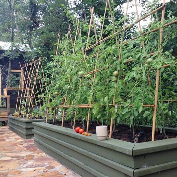 Vertical Garden Edging | Edging Plants for Kitchen Gardens - FarmFoodFamily.com