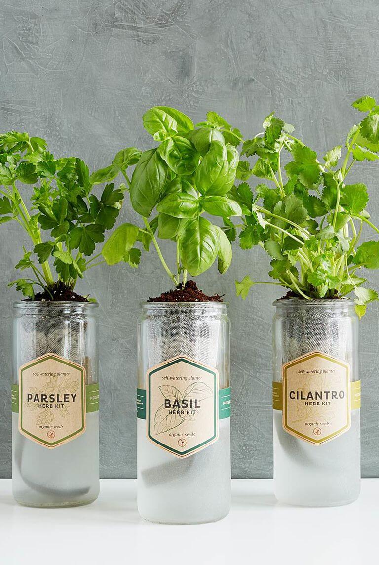 Hydroponic Herb Planter | Smart Mini Indoor Garden Ideas DIY - FarmFoodFamily.com
