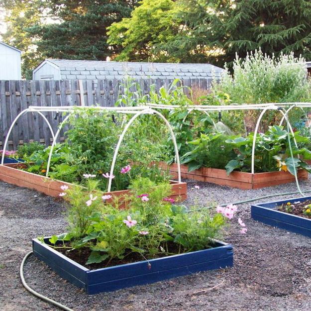 Create a Plant Border Around a Vegetable Patch | Edging Plants for Kitchen Gardens - FarmFoodFamily.com