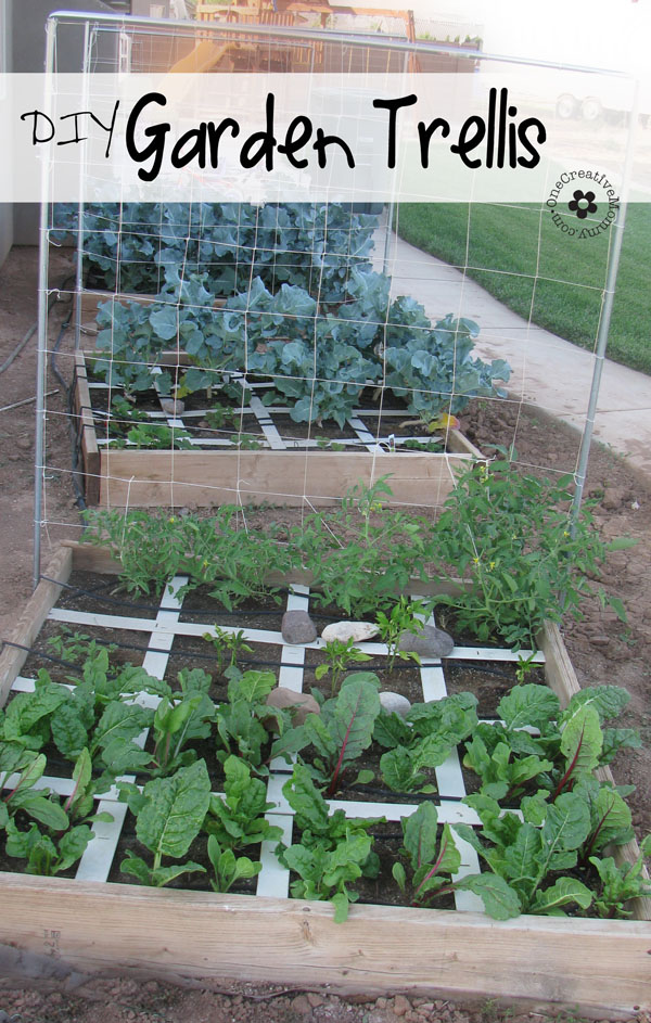 Squash And Melon Trellis | Up-cycled Trellis Ideas For Garden