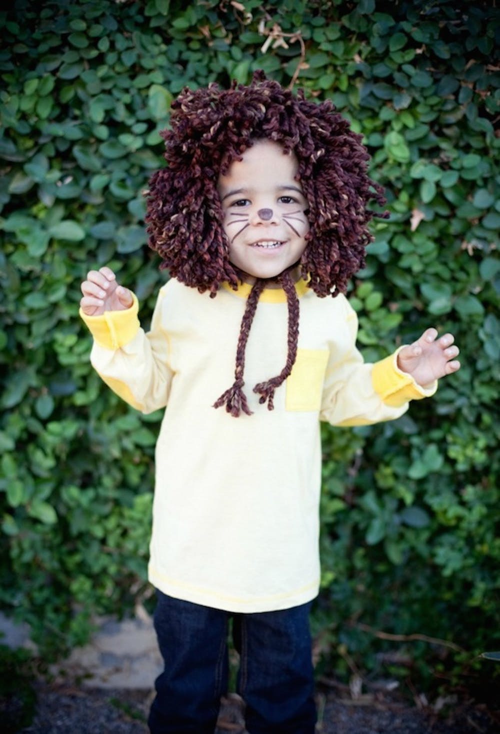 Easy No-Sew Kids Lion Halloween Costume | Animal Halloween Costumes for Kids, Adults - FarmFoodFamily.com