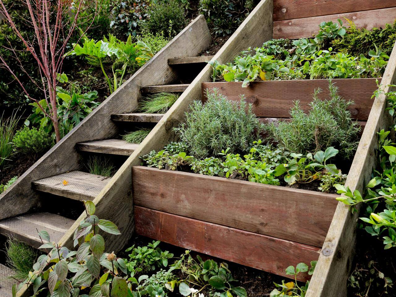 Green Stair | Creative Garden Step & Stair Ideas | FarmFoodFamily