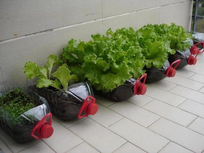 Plastic Bottle Planters | Creative Plastic Bottle Vertical Garden Ideas - FarmFoodFamily.com