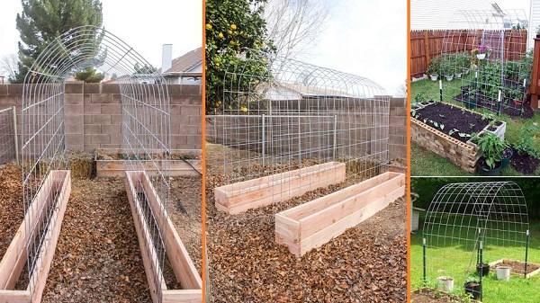 DIY Raised Bed and Trellis | Up-cycled Trellis Ideas For Garden