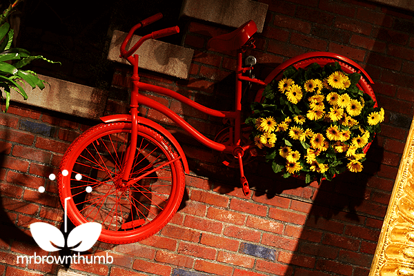 A charming antique bicycle planted | Bicycle Garden Planter Ideas For Backyards | FarmFoodFamily