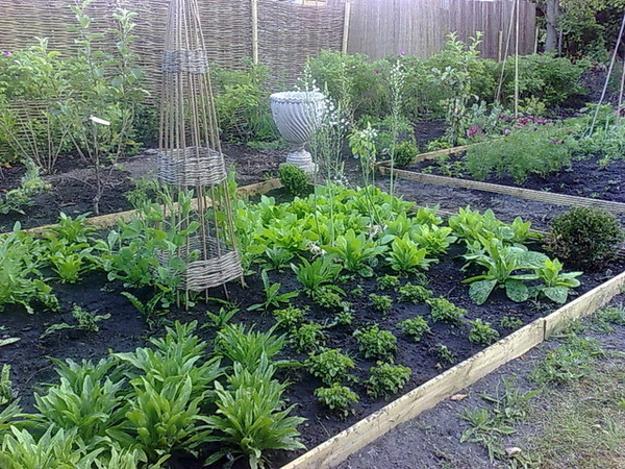 Create a Plant Border Around a Vegetable Patch | Edging Plants for Kitchen Gardens - FarmFoodFamily.com