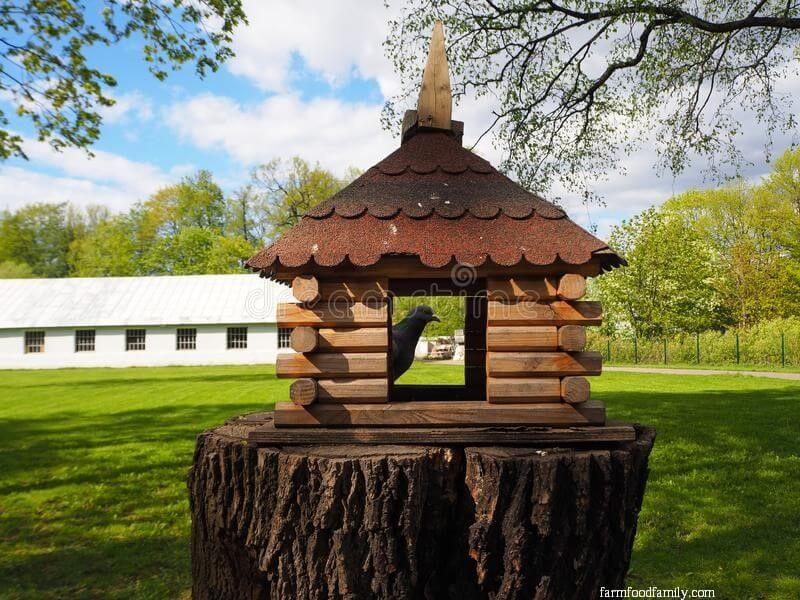 27 tree stump ideas with a roof