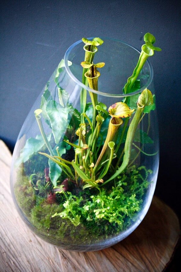 53+ Smart Mini Indoor Garden Ideas DIY - FarmFoodFamily.com