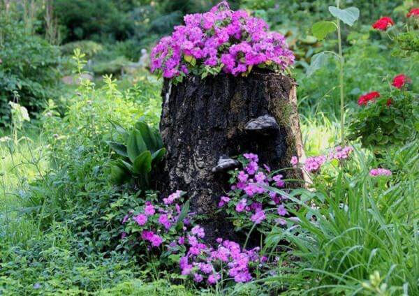 Tree Stump Planter | Tree Stump Decorating Ideas | How To Decorate a Tree Stump In Landscape